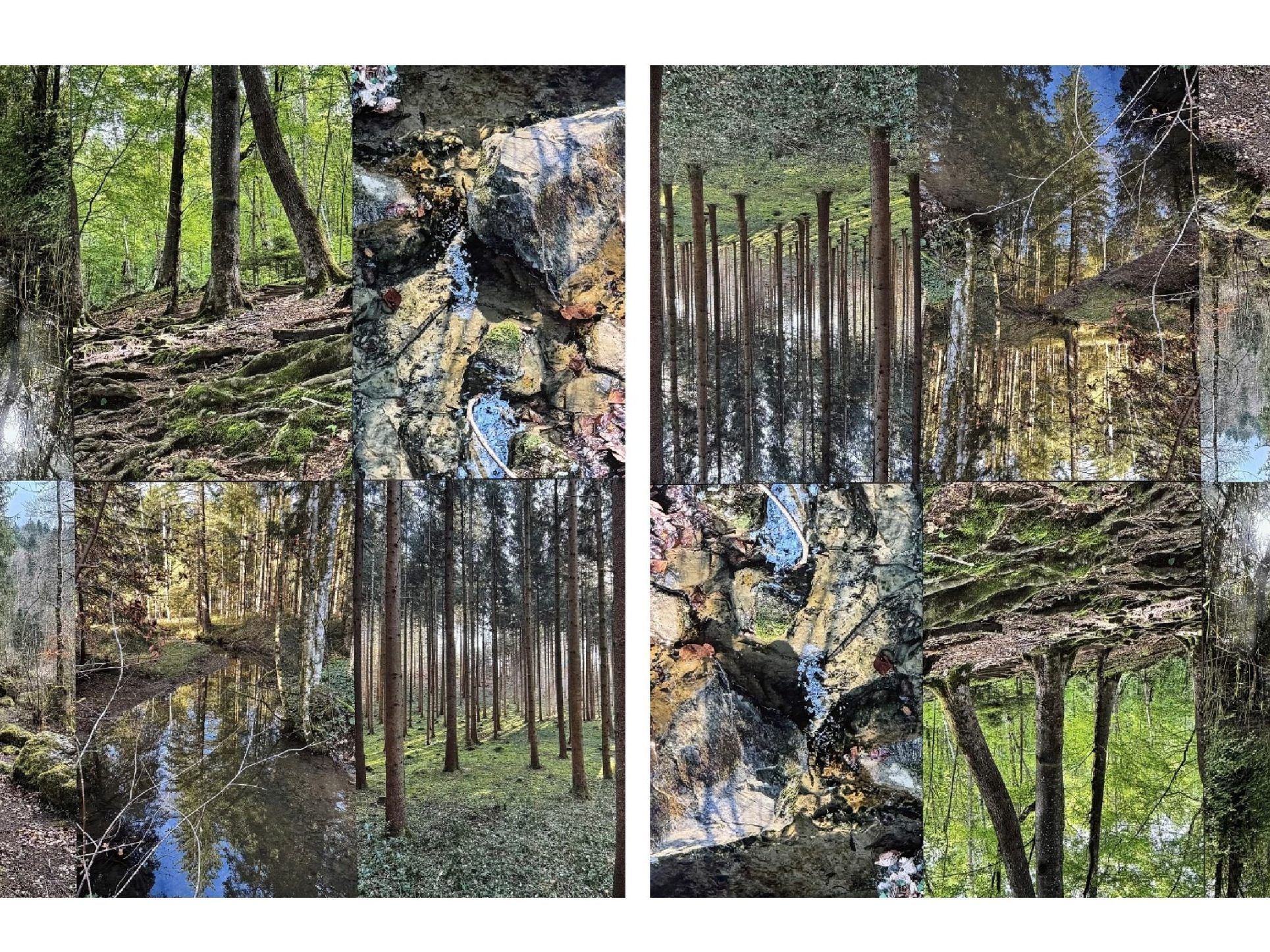 Die Natur als Beispiel für ständige Veränderungen und Anpassungen Die Natur als Beispiel für ständige Veränderungen und Anpassungen