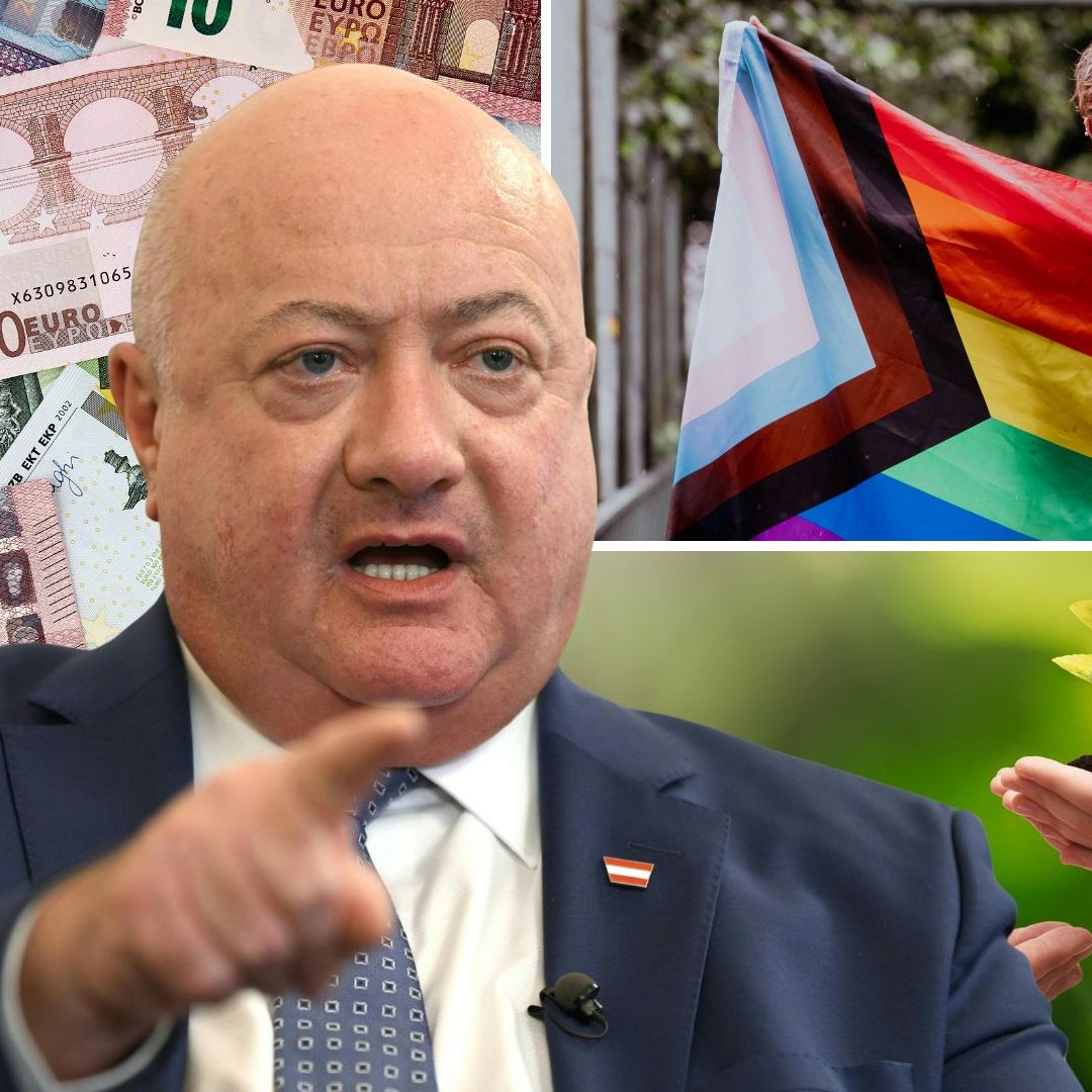 Nach FPÖ-Anfrage: Liste zeigt Zahlungen an 725 Organisationen