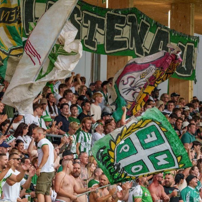 Austria Lustenau hat den Vertrag mit dem Defensivmann aufgelöst.