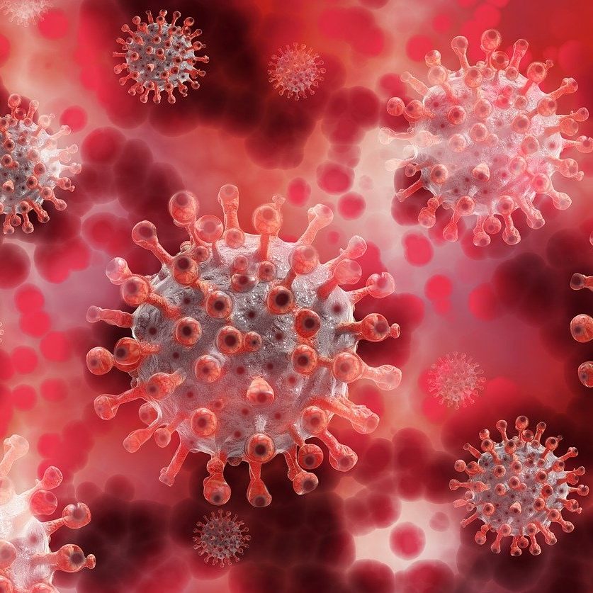 Covid-19 lässt die Arterien von Frauen altern.