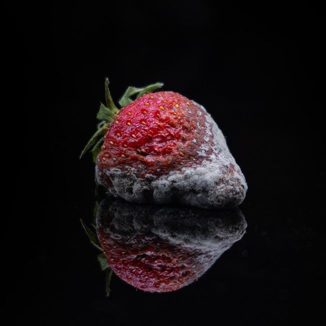 Der AK-Test findet faule Früchtchen im Supermarktregal.