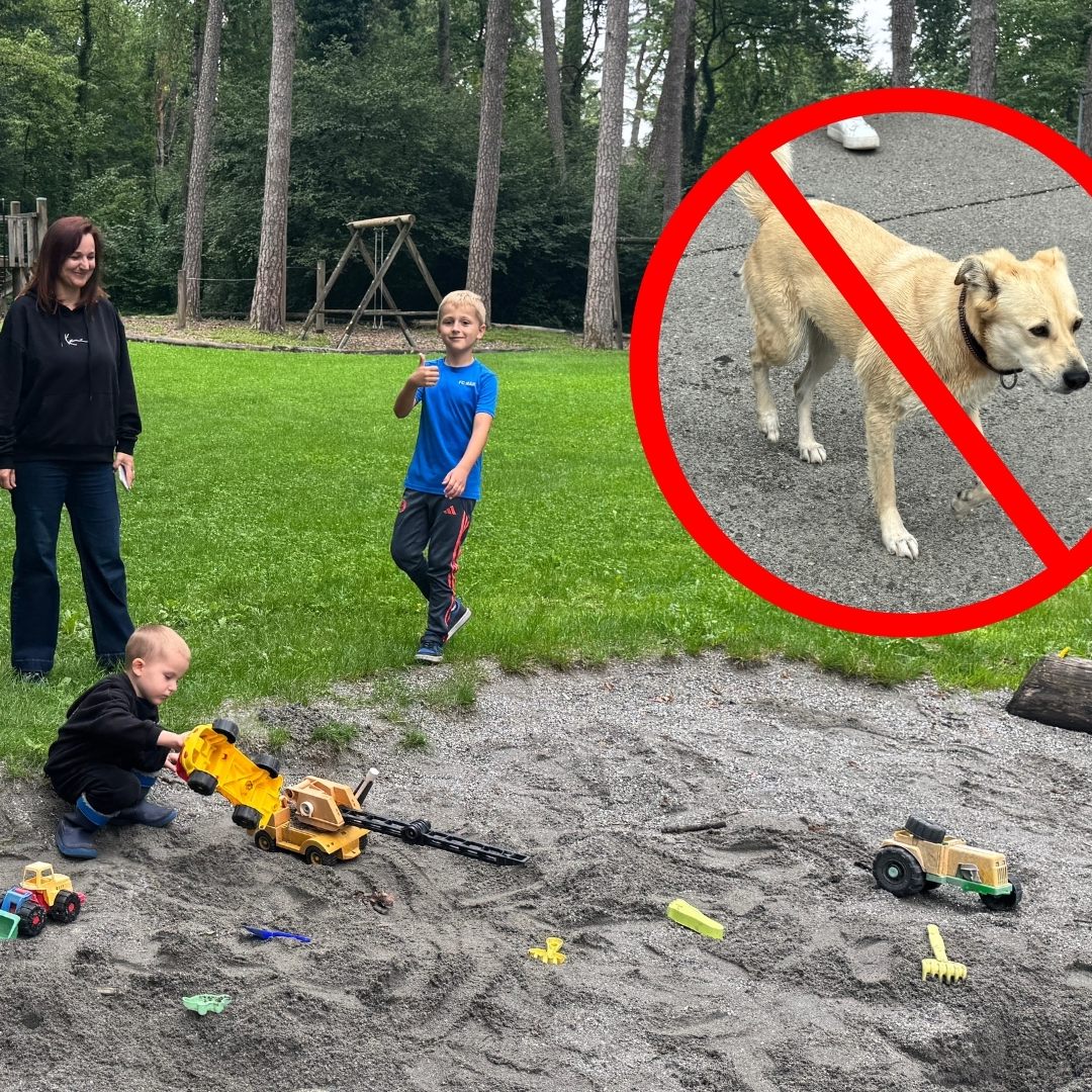 Hunde können Kinder gefährden.