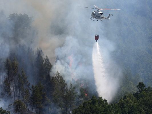 Spanien war heuer schon stark von Waldbränden betroffen Spanien war heuer schon stark von Waldbränden betroffen