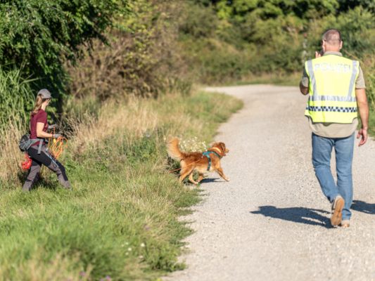 Wildtier-Kriminellen im Burgenland wird der Kampf angesagt Wildtier-Kriminellen im Burgenland wird der Kampf angesagt