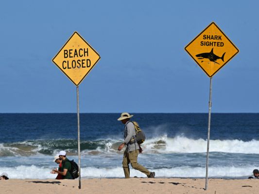 Der Badebereich am betroffenen Strand wurde gesperrt Der Badebereich am betroffenen Strand wurde gesperrt