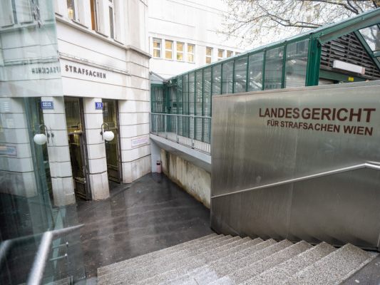 Mordversuch-Prozess-um-Wiener-Baby-mit-Sch-tteltrauma