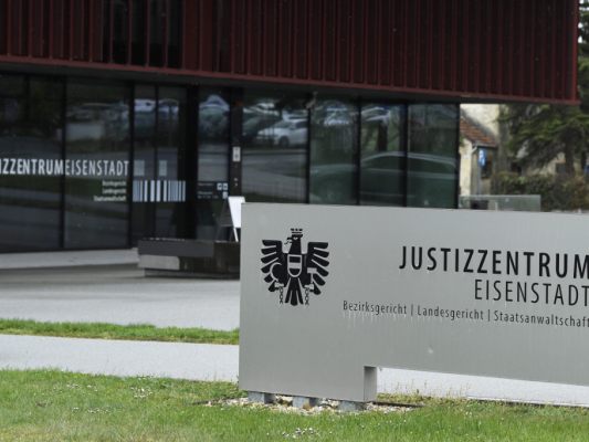 Der Pensionist entschuldigte sich vor Gericht in Eisenstadt.