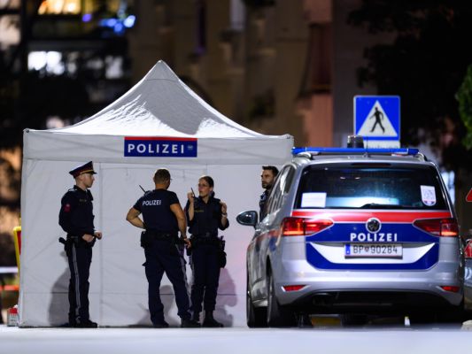 2025-bisher-elf-Morde-an-Frauen-in-der-Privatsph-re