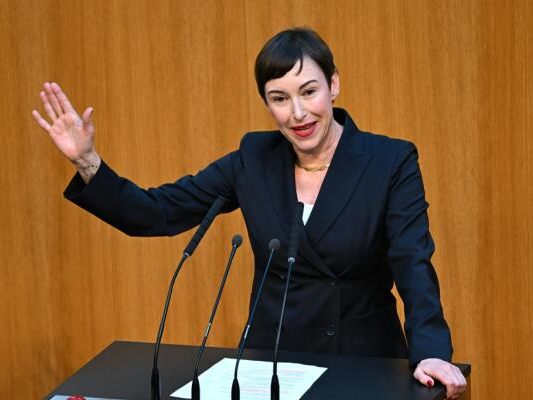NEOS-bewerben-vor-Plenum-pinke-Handschrift-in-Regierung