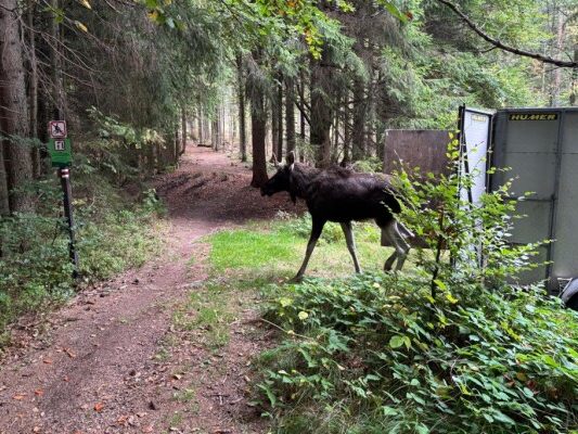 Am Montag kam "Emil" im Böhmerwald an.