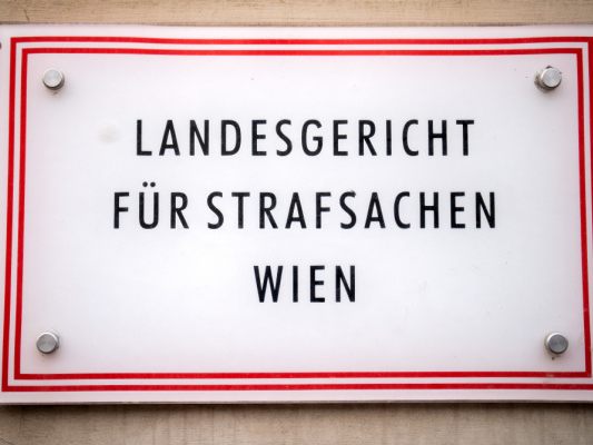 Turbulente-Verhandlung-gegen-quot-hundenarrische-quot-Wienerin