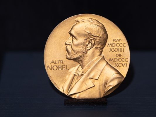 Nobelfavoriten-Immunsystem-Quanten-Gr-ne-Chemie-und-Armut