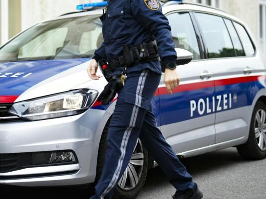 Zwei strafmüdige Burschen festgenommen