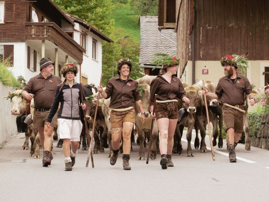 173-Rinder-verlassen-die-Alpe-Hohe-Kugel