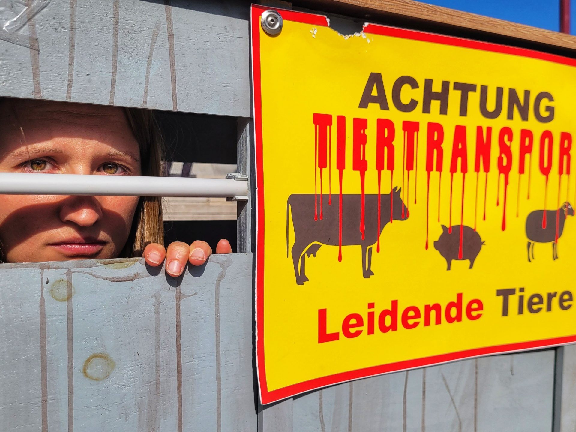 -quot-Angenehm-wir-es-nicht-werden-quot-Aktivistin-verbringt-29-Stunden-in-Tiertransporter-in-Wien