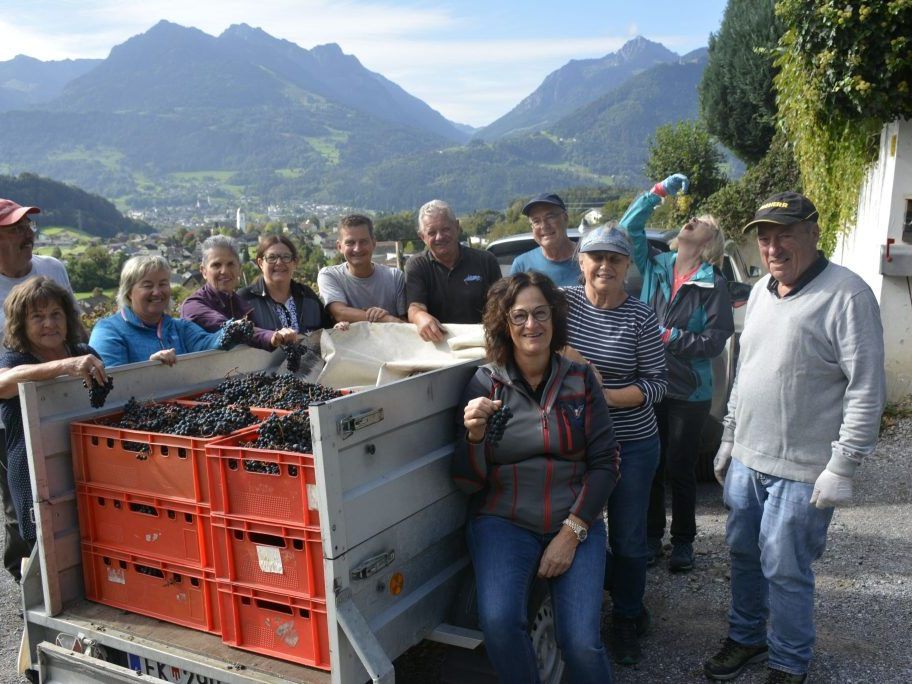 Toller-Wein-in-Aussicht
