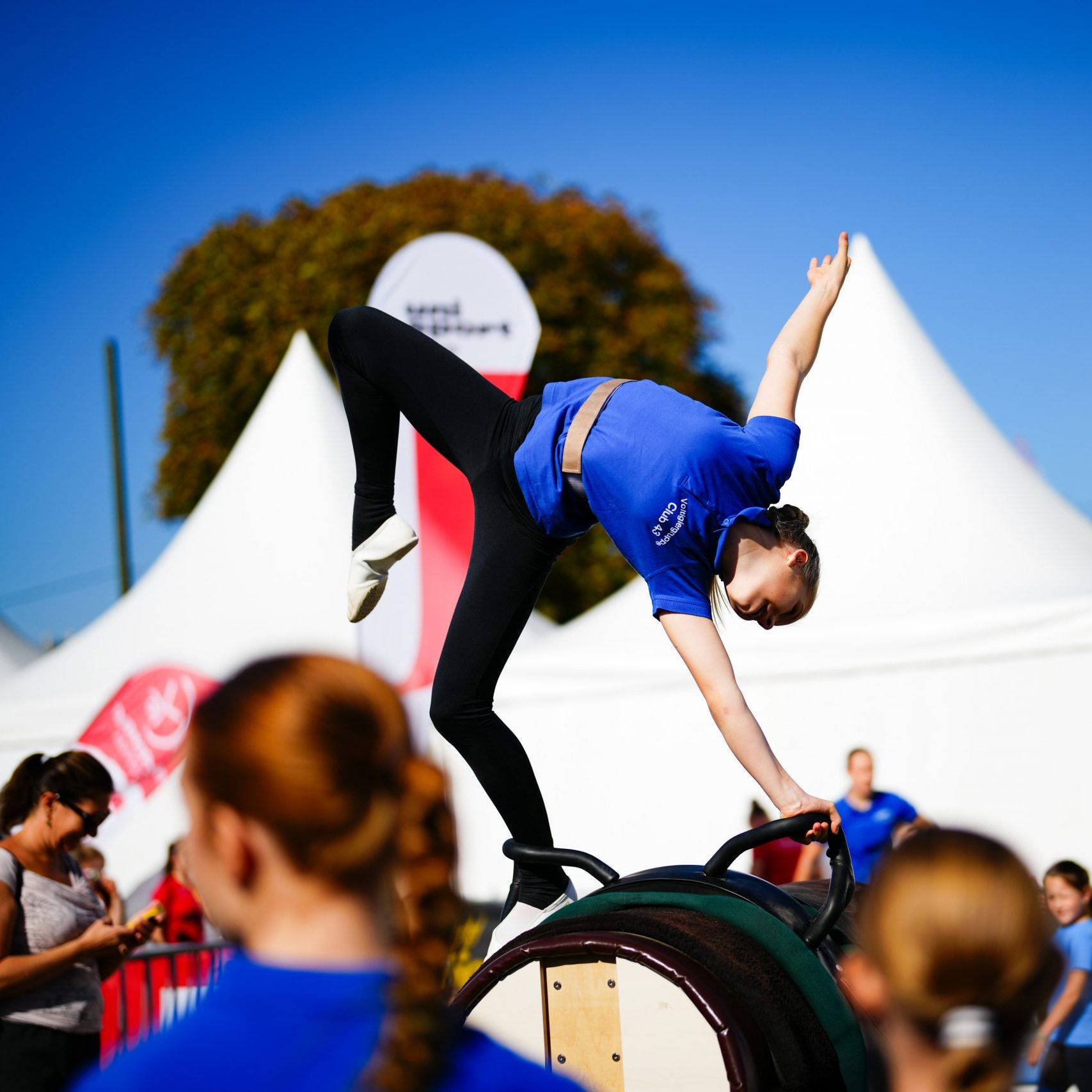 Der "Tag des Sports" zieht üblicherweise unzählige Besucher nach Wien.
