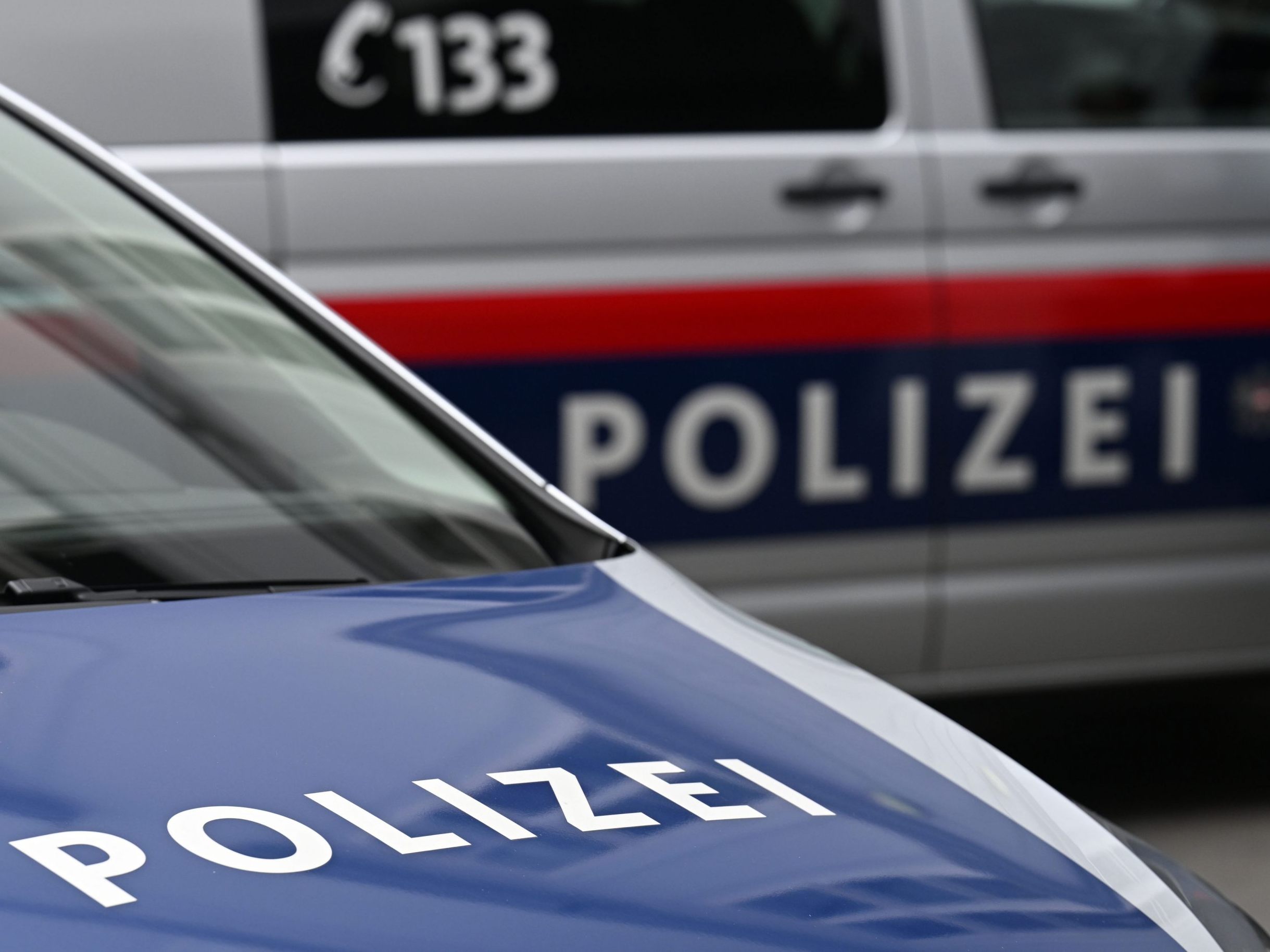 81-j-hrige-Wienerin-nach-Suche-aus-Turnersee-gerettet