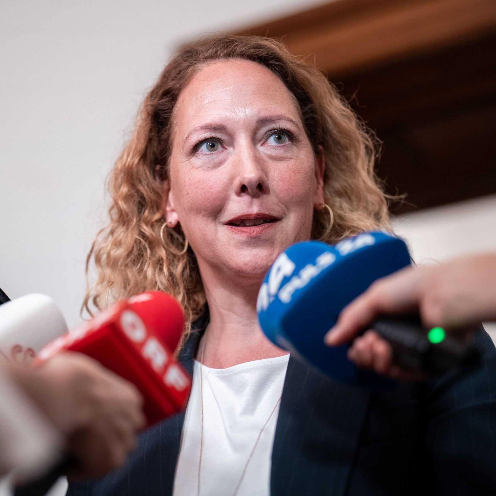 Die Wiener Grünen beklagen eine Zerstörung von Errungenschaften.