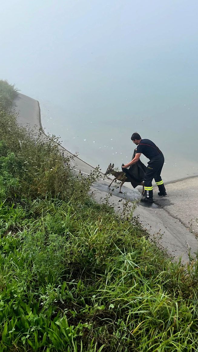 FF Ernsthofen stand im Einsatz.