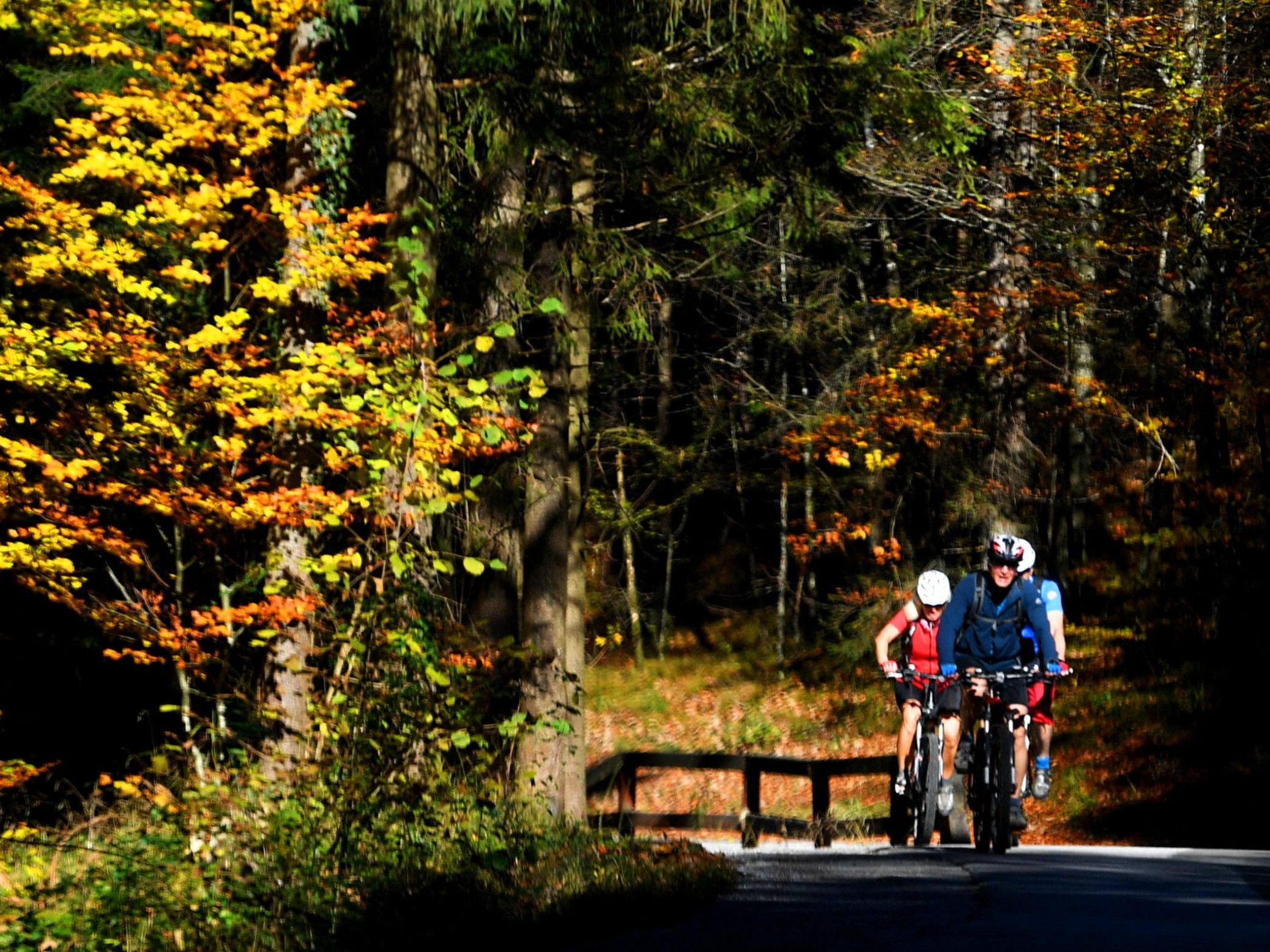Altweibersommer-bringt-uns-am-Wochenende-noch-einmal-30-Grad