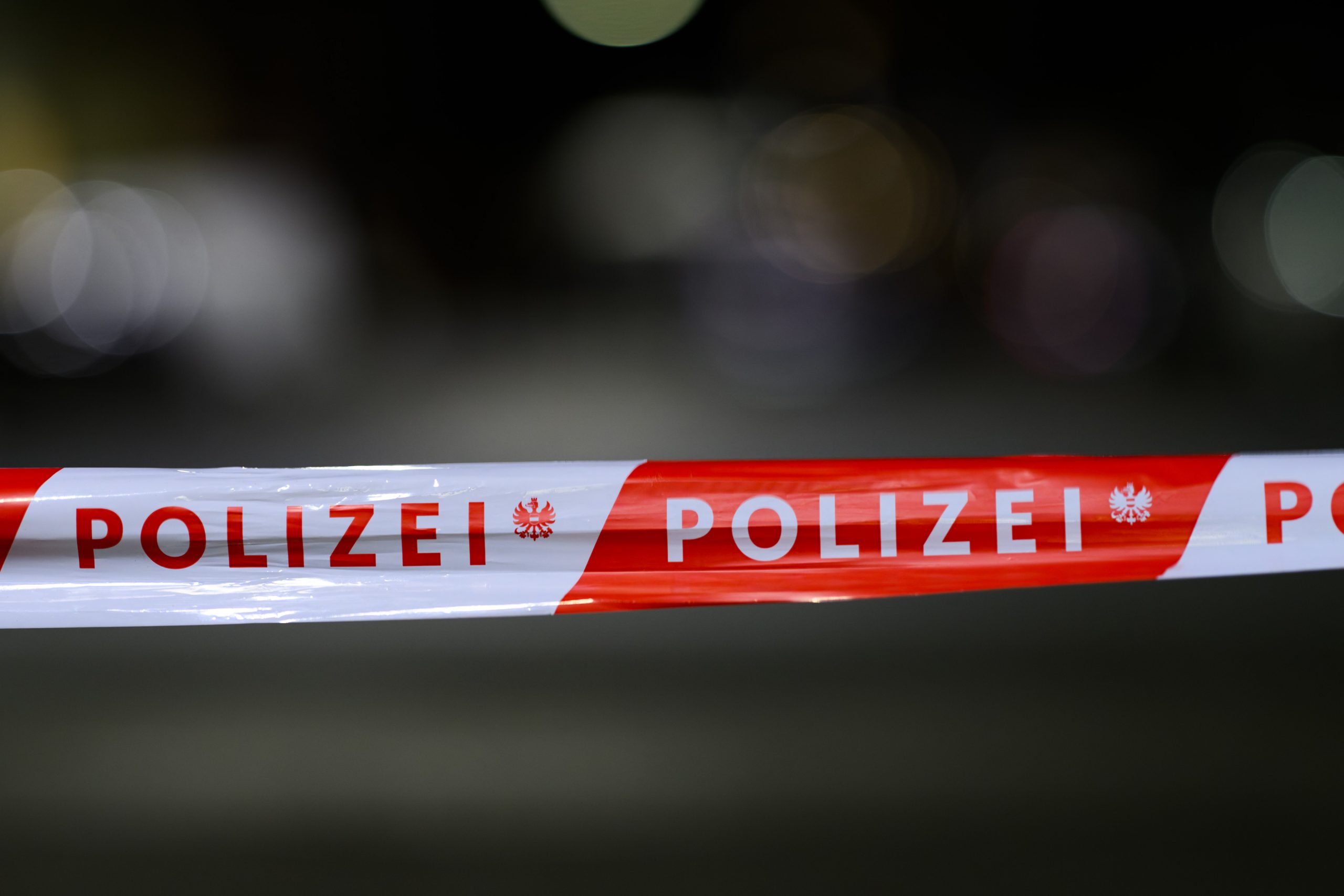 © APA/MAX SLOVENCIK