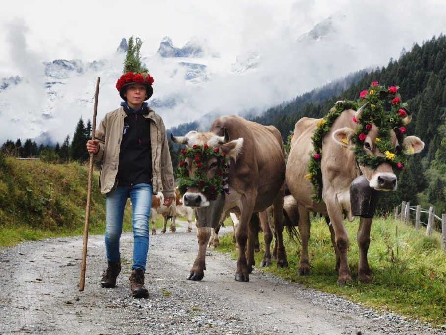 Auf-der-Alp-war-s-heuer-vor-allem-deshalb-besonders-sch-n
