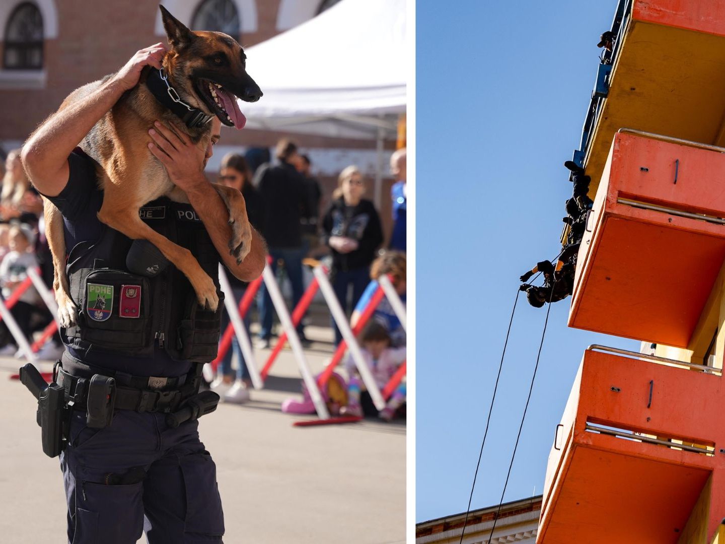 Hunde-Drohnen-und-Action-am-quot-Tag-der-Wiener-Polizei-quot-