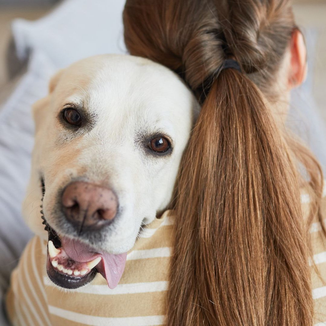 Hunde wittern die Angst des Menschen und reagieren erstaunlich komplex.