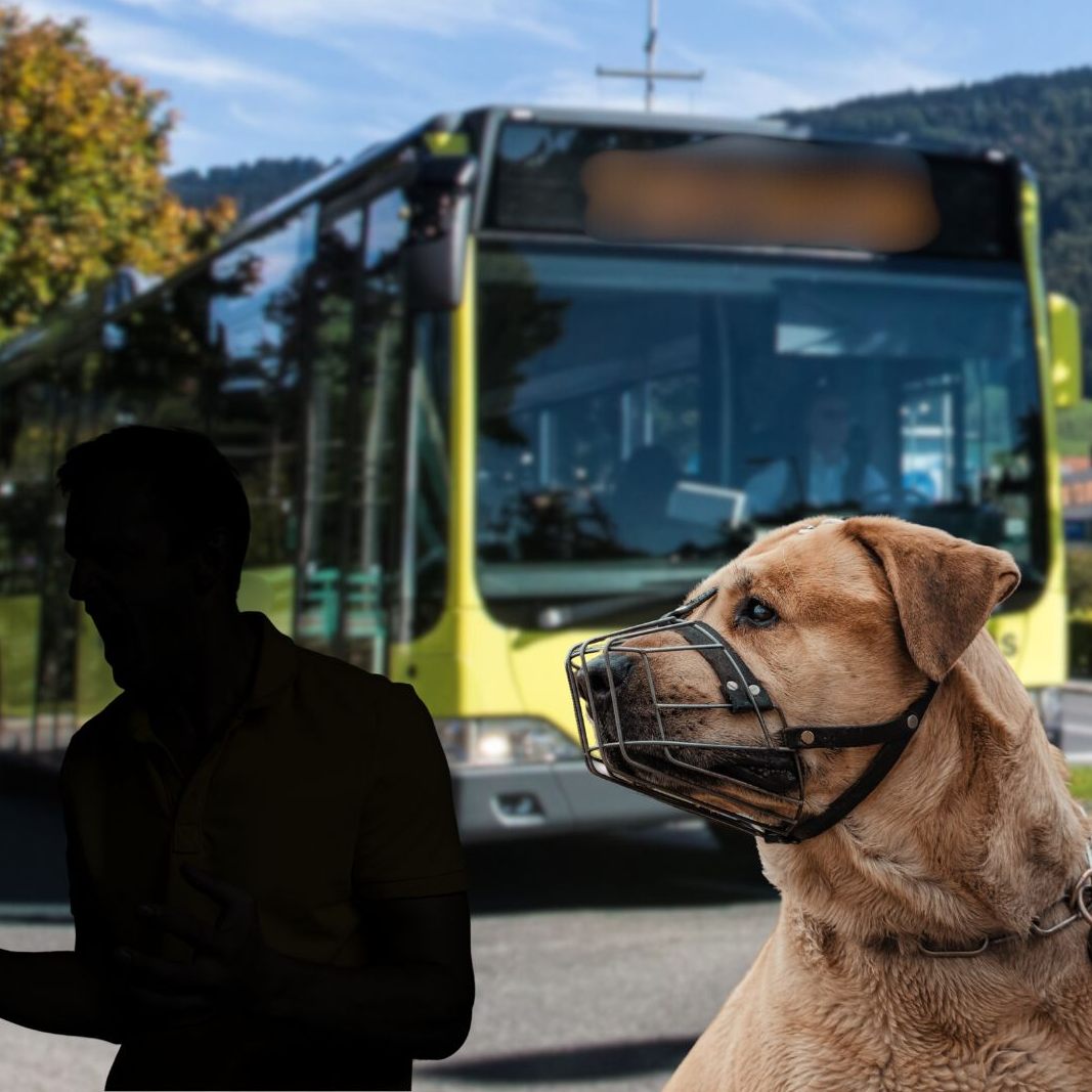 Ein Maulkorb-Streit zwischen Busfahrer und Fahrgast eskalierte.