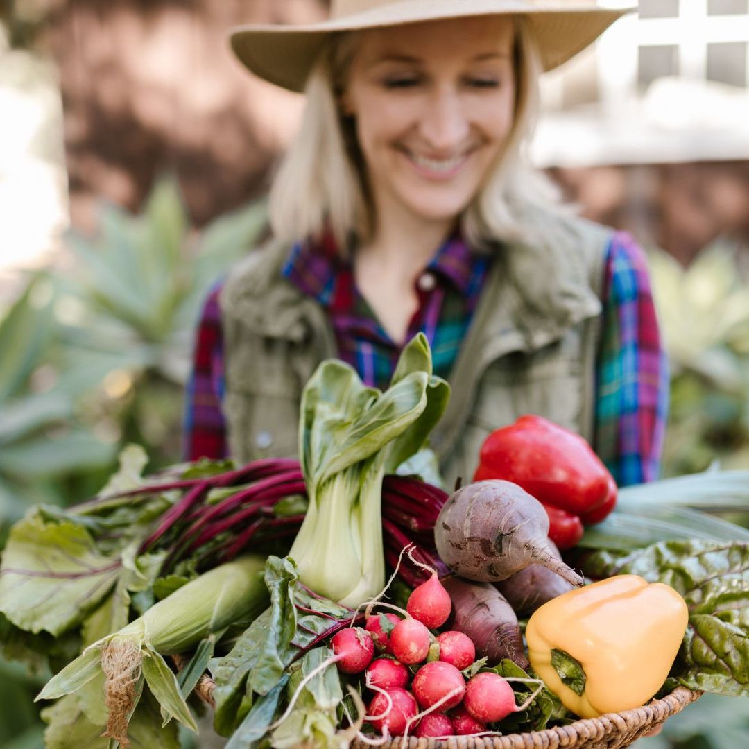 Septemberküche: Diese Lebensmittel haben jetzt Hochsaison