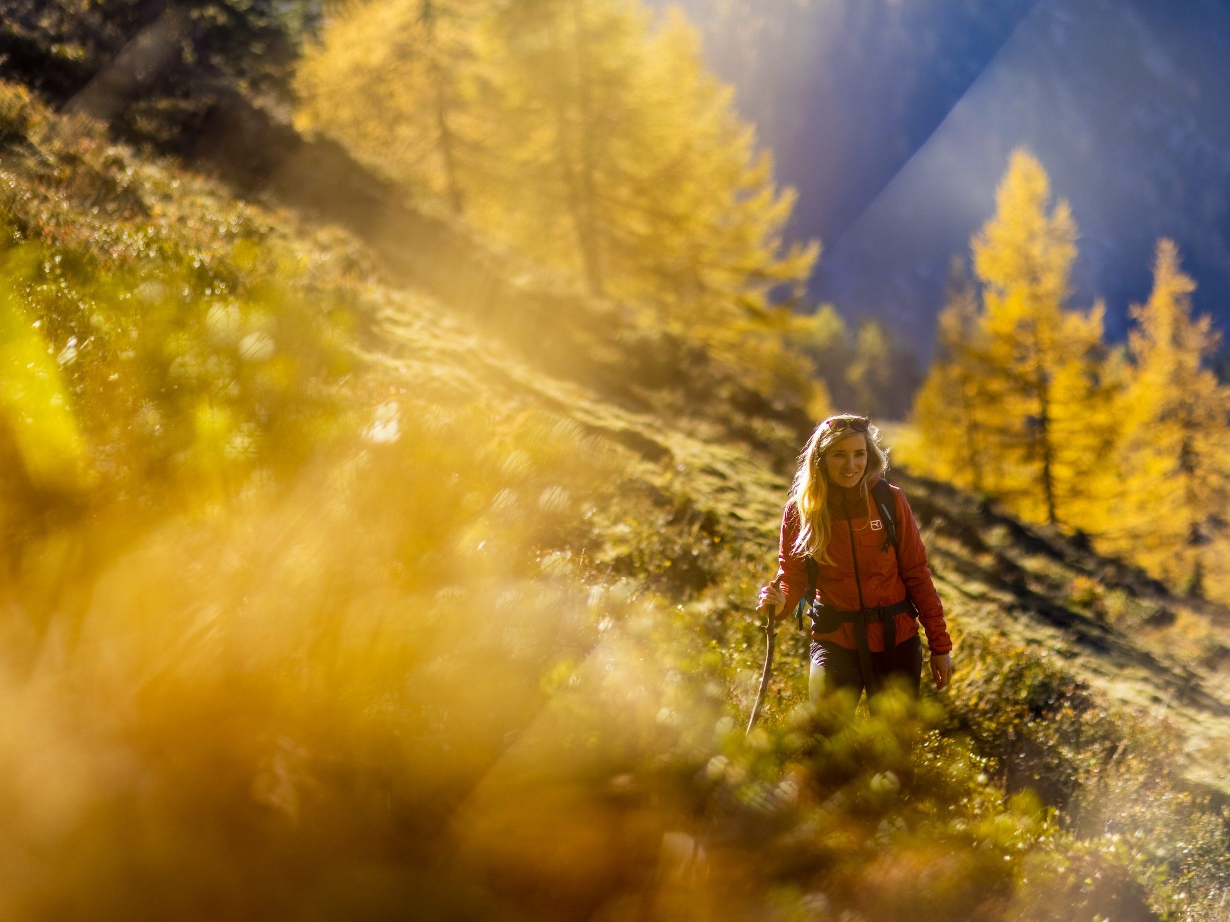Top-Tipps-f-r-den-Wanderherbst