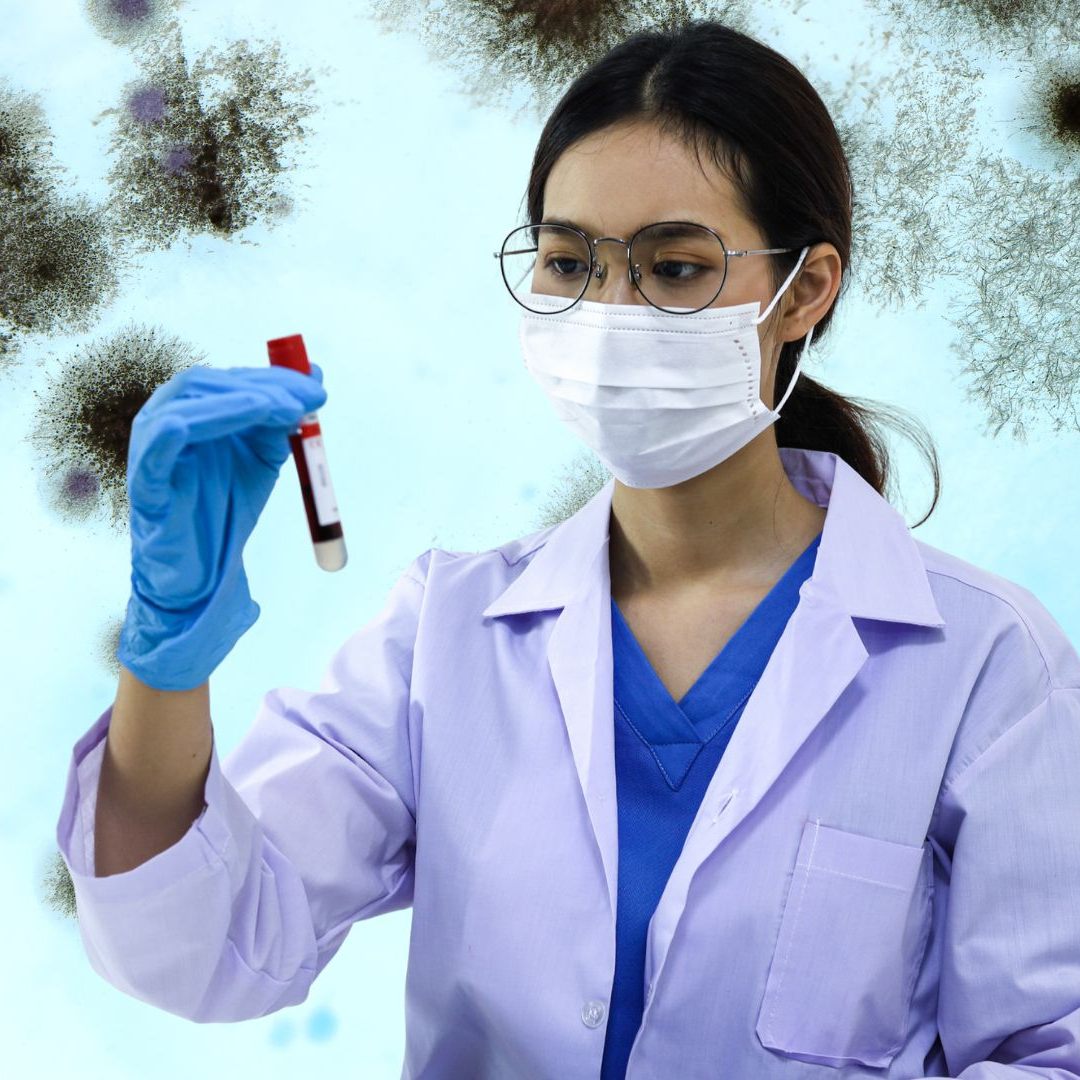 Candida auris ist weltweit auf dem Vormarsch