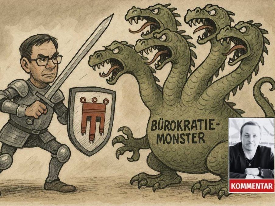 Zahnlos-im-Kampf-gegen-das-B-rokratiemonster