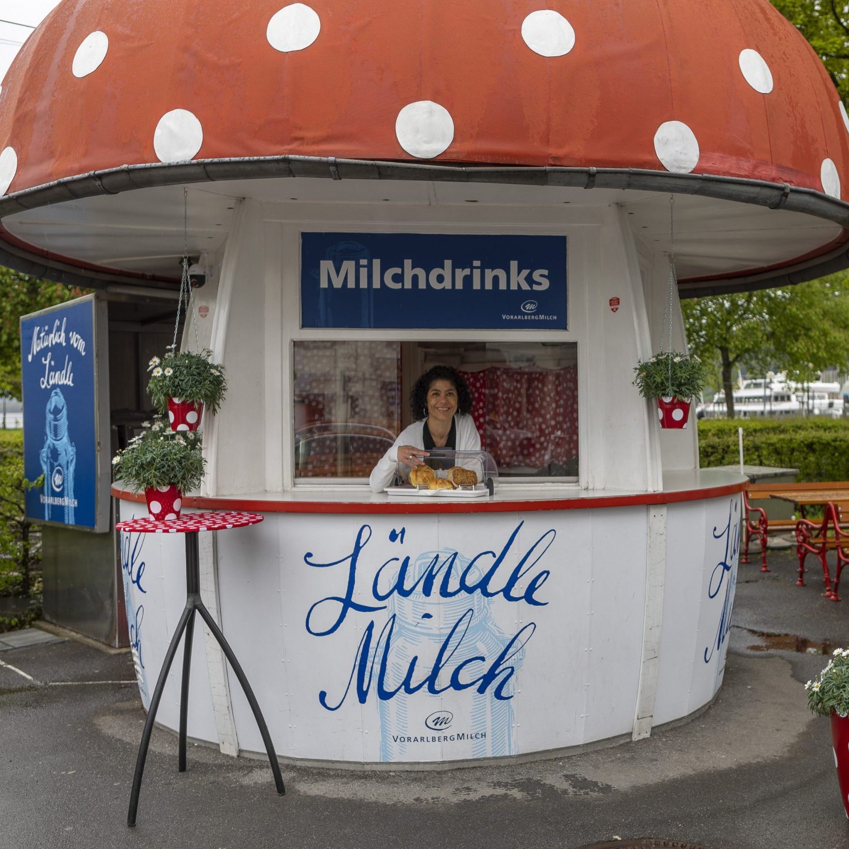 Wie geht es nun für den Milchpilz weiter?