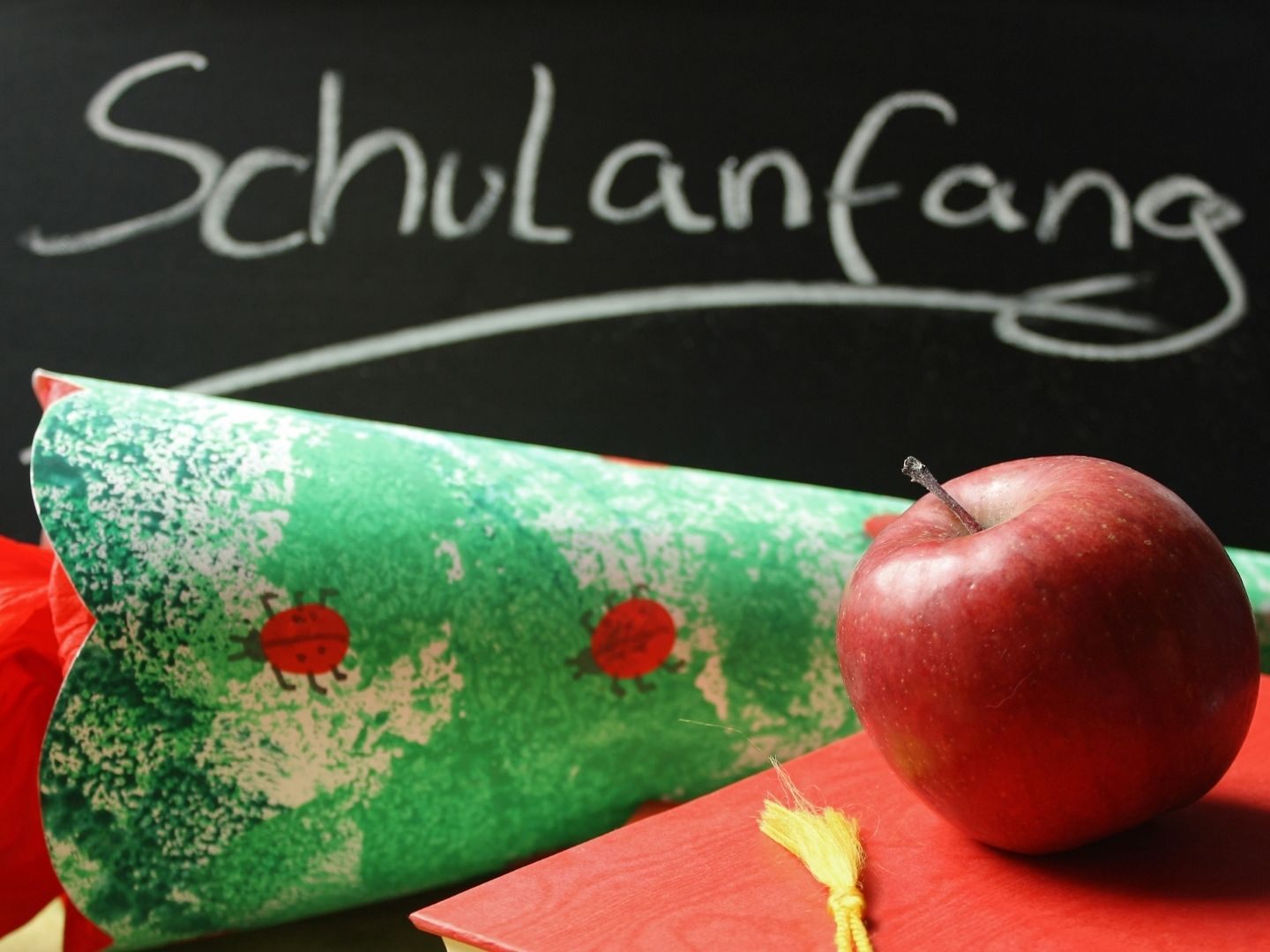 Was-Kinder-zum-Schulstart-brauchen-damit-R-cken-und-Konzentration-mitmachen