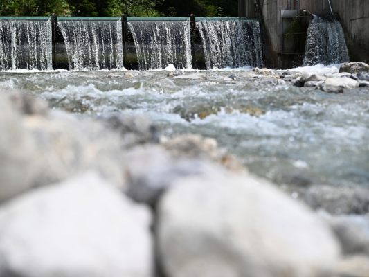 Naturschützer: Für die Wasserkaft sollte das Gesetz nicht gelten Naturschützer: Für die Wasserkaft sollte das Gesetz nicht gelten