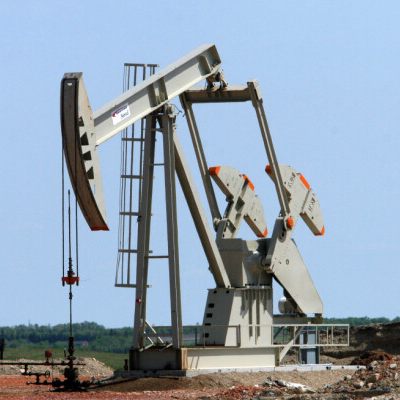 Erhebliche Rohstoffvorkommen vermutet