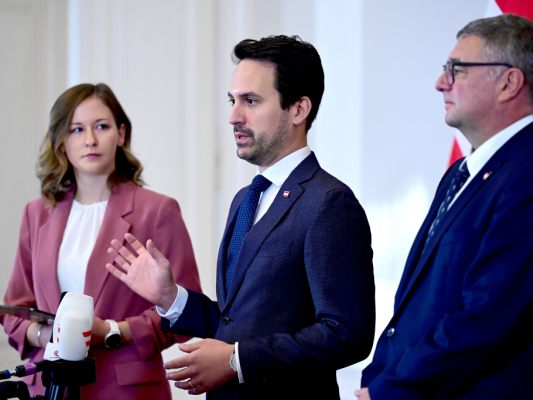 Plakolm, Wiederkehr und Leichtfried vor dem Ministerrat am Mittwoch