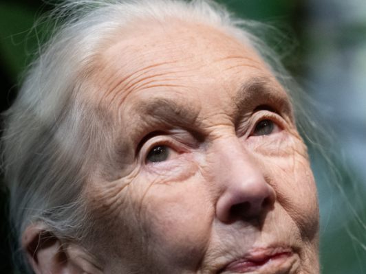 Jane Goodall (Archivbild)
