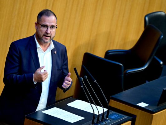 Hafenecker sieht Weg frei für U-Ausschuss