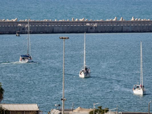 Festgesetzte Boote der "Global Sumud Flotilla" im Hafen Ashdod