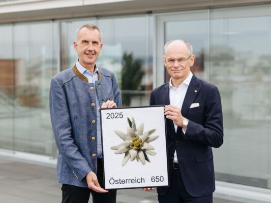 Edelweißblüte ist weich und biegsam Edelweißblüte ist weich und biegsam