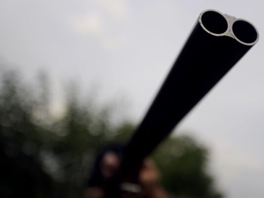 Disziplinarverfahren-gegen-Offizier-nach-Waffen-bung