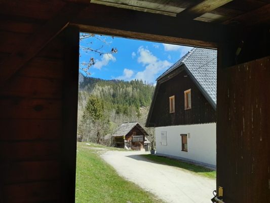 Der Polizei-Einsatz am Per?manhof sorgt weiter für Debatten