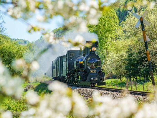 Mariazellerbahn-gewinnt-f-r-N-bei-quot-9-Pl-tze-9-Sch-tze-quot-