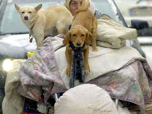 Caritas startet Kältetelefon und Winternothilfe in Wien Caritas startet Kältetelefon und Winternothilfe in Wien