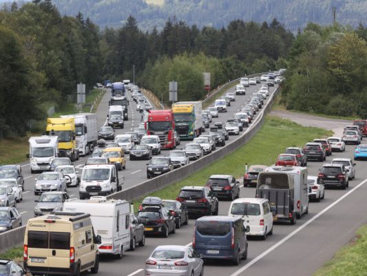 Menschen-sind-die-mobilsten-Gesch-pfe