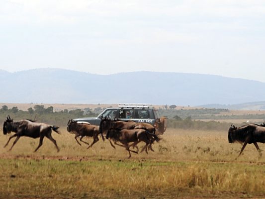 Ziel wäre Nationalpark Massai Mara gewesen
