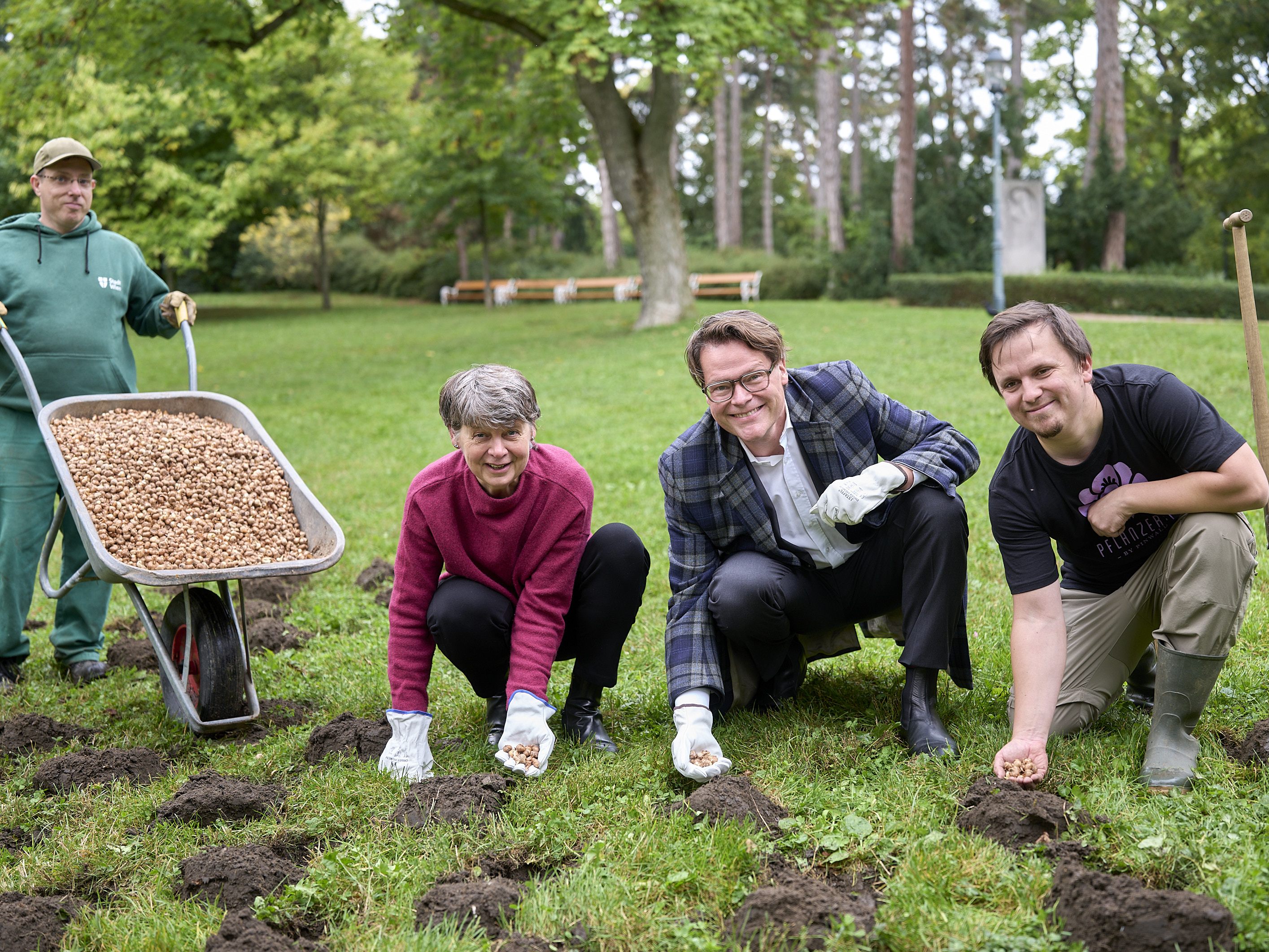 Die Wiener Stadtgärten pflanzen über 590.000 Blumenzwiebeln für ein buntes Frühjahr.